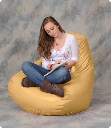 Chamois Large Bean Bag